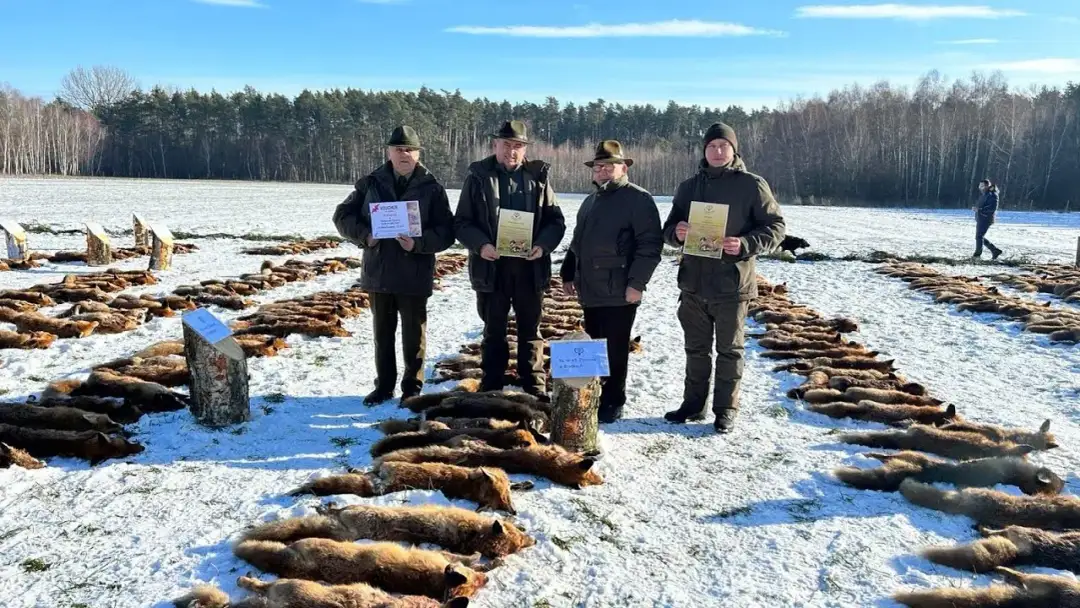 Polowanie w kotły: techniki, zasady i etyka łowiectwa w Polsce