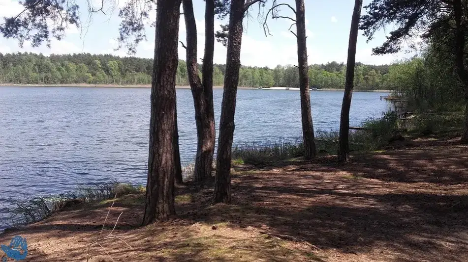 Jezioro Moczydło Lubuskie - piękne miejsce na wędkowanie i relaks