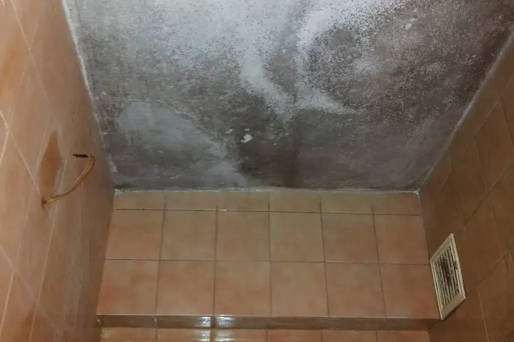 Jak skutecznie wyeliminować pleśń ze ścian? Skuteczne metody usuwania i zapobiegania pleśni domowej