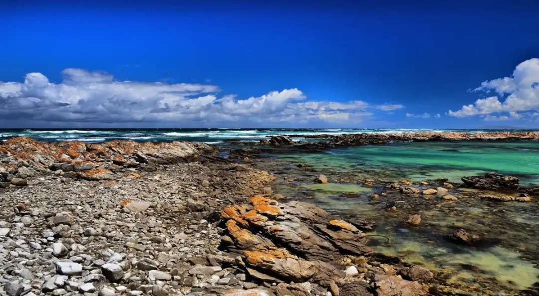 Muzycy z Południowej Afryki, którzy zrewolucjonizowali światową scenę