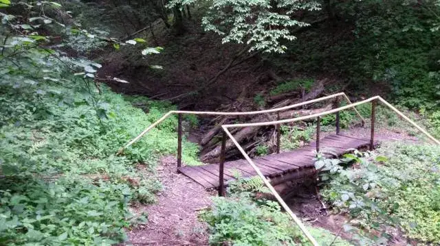 Które szlaki w okolicy Soliny oczarują Cię swoim pięknem? Top 5!