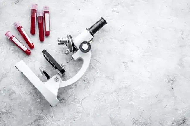 Podwyższony poziom bazocytów: co to oznacza dla zdrowia?