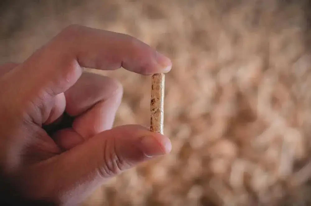 Jak przechowywać pellet, aby uniknąć wilgoci i straty jakości