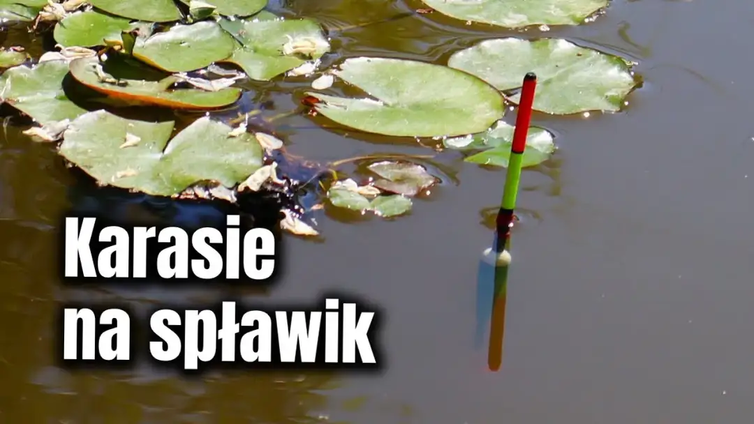 Jaki spławik na karasia: wybierz najlepszy dla udanego połowu