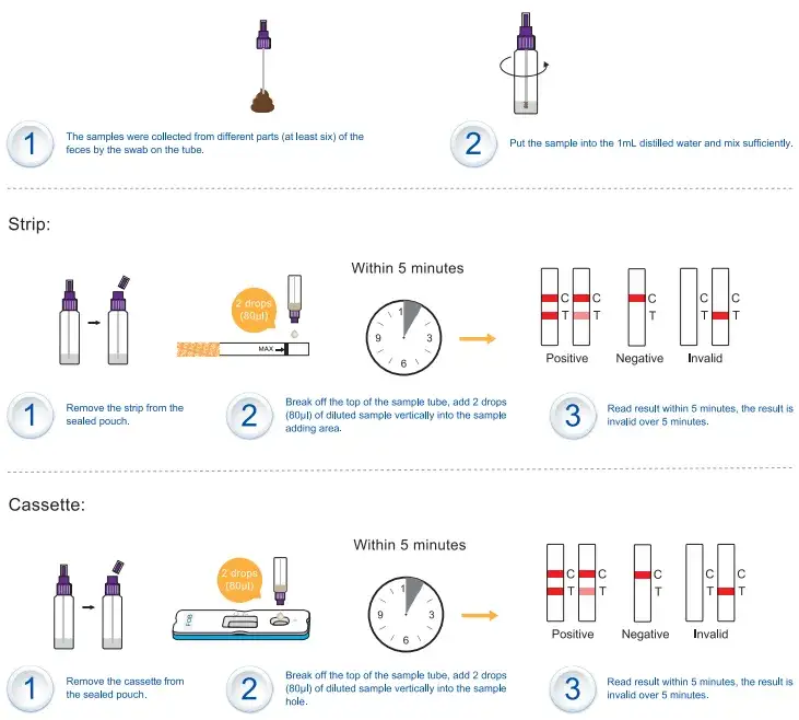 Jak wykonać test FOB w domu i uniknąć poważnych problemów zdrowotnych