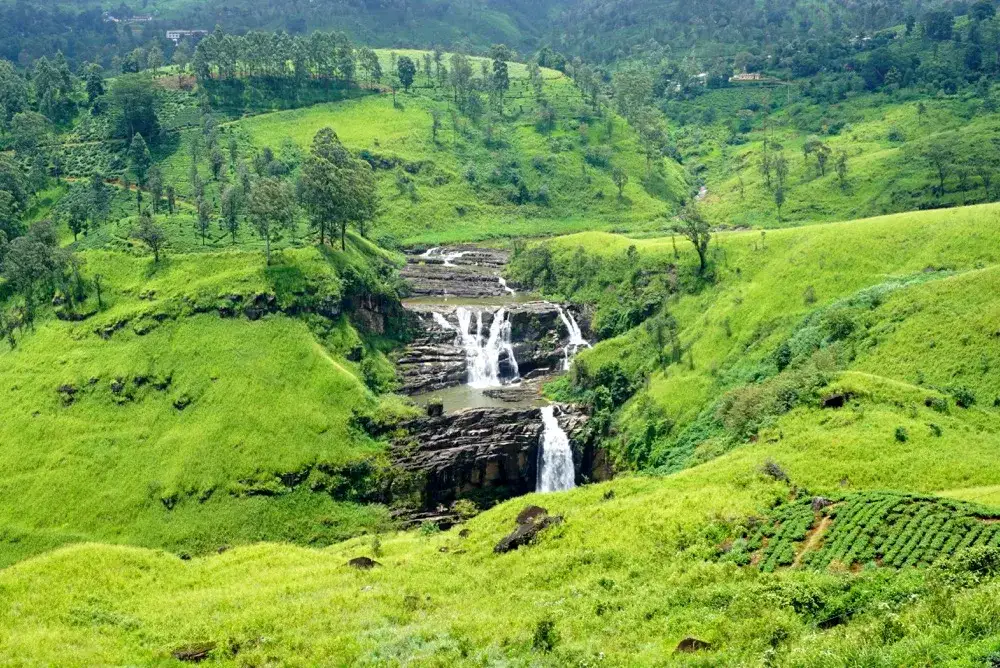 Sri Lanka co warto wiedzieć przed podróżą - poradnik dla turystów