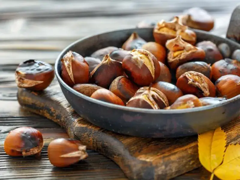 Jak przyrządzić kasztany jadalne na patelni – prosta receptura na smakołyk