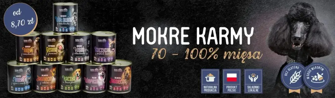 Karma dla kotów z belgijskich manufaktur: najwyższa jakość dla Twojego pupila