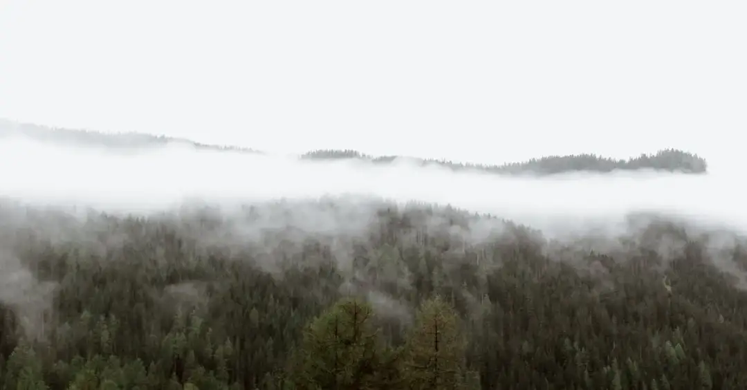 Jak rozwiązać zagadkę Kwestii Życia i Śmierci w Wiedźminie 3?