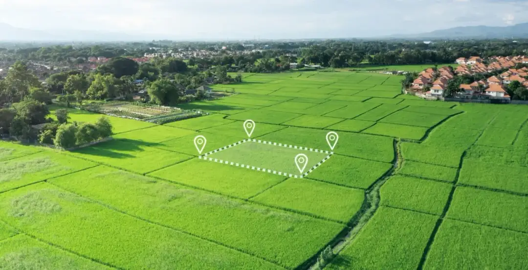 Ile kosztuje podział działki rolnej? Sprawdź ukryte koszty i czynniki