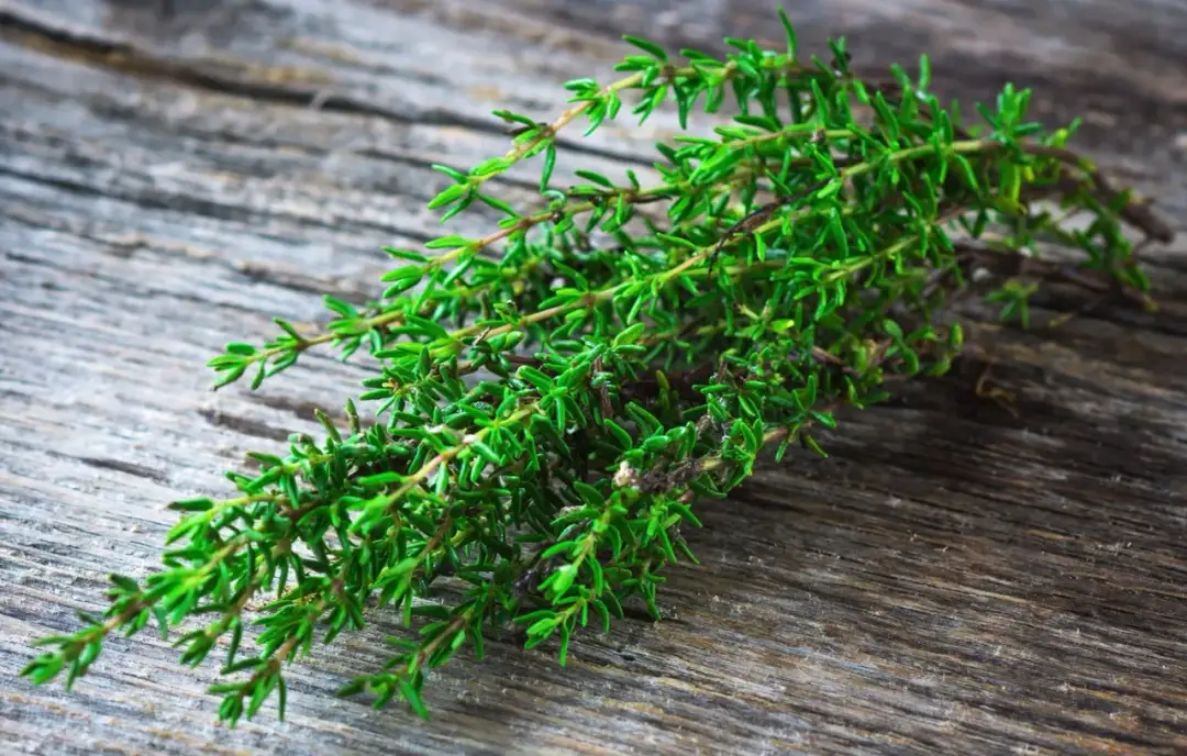 Skuteczny napar na zatoki - 5 najlepszych ziół przynoszących ulgę w chorobie