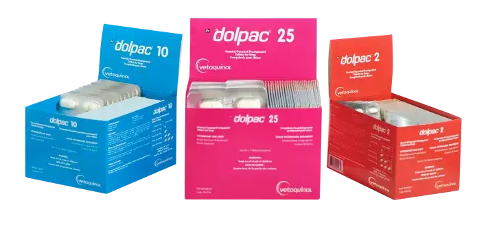 Aktualne ceny Dolpac 25: poznaj realne koszty odrobaczania psów