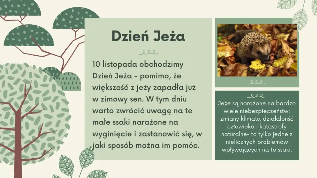Tekst piosenki dokąd tupta nocą jeż - ulubiona melodia wszystkich dzieci