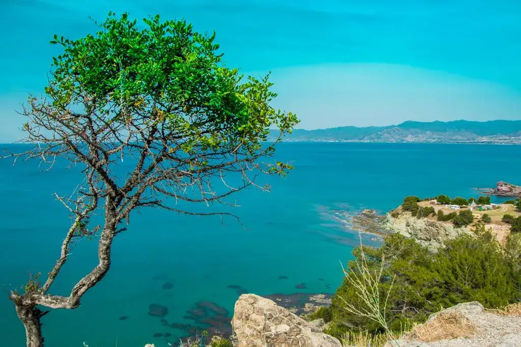 Jak najłatwiej dojechać na półwysep Akamas: 5 najlepszych sposobów