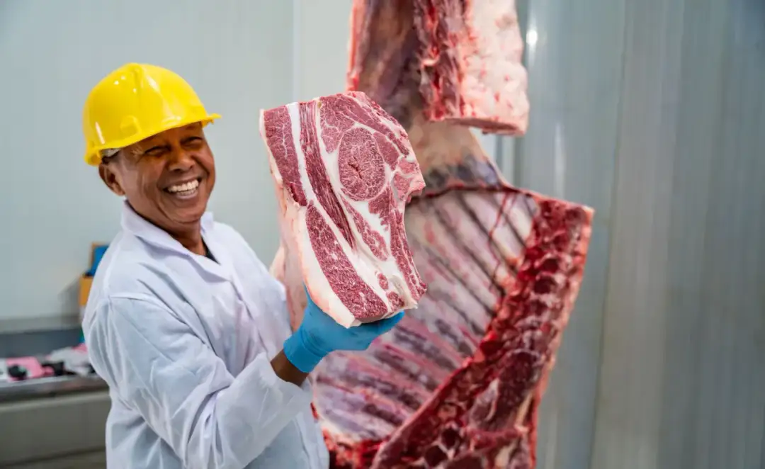 Wołowina Wagyu cena za kg – dlaczego jej koszt jest tak wysoki?