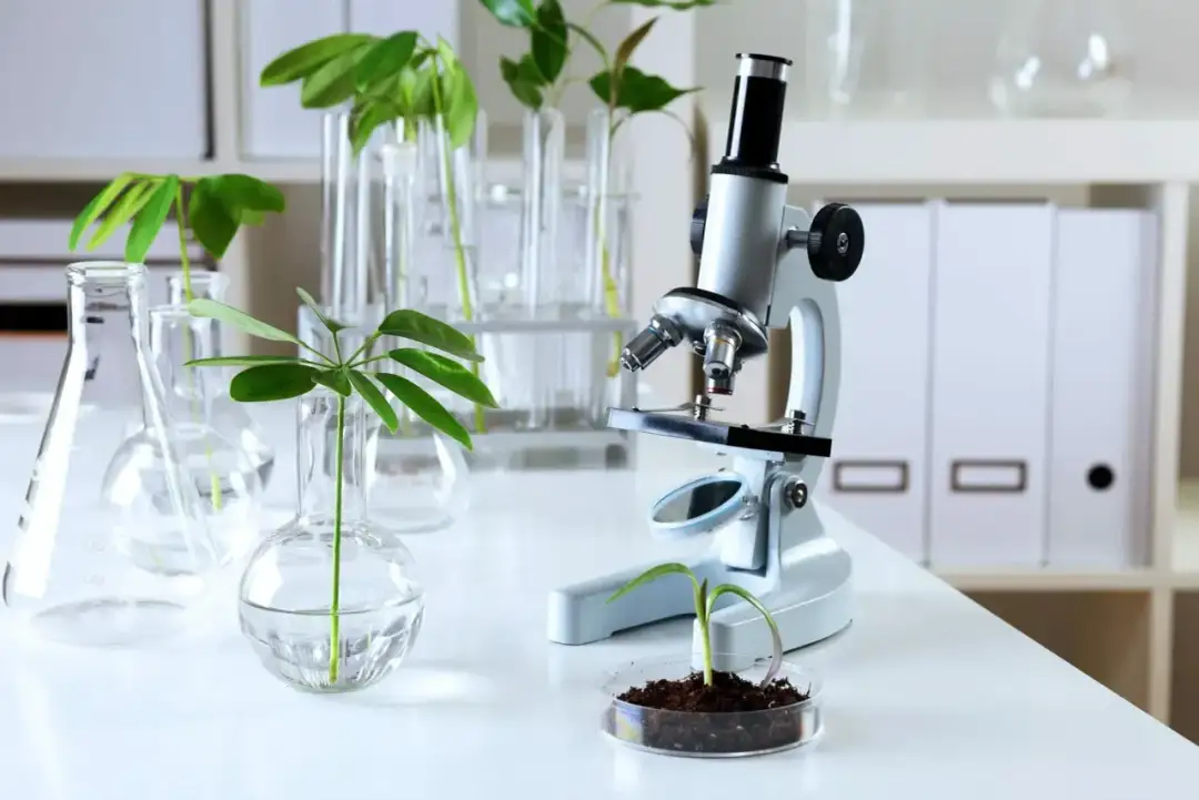 Biologia sądowa czy warto? Odkryj korzyści i możliwości kariery