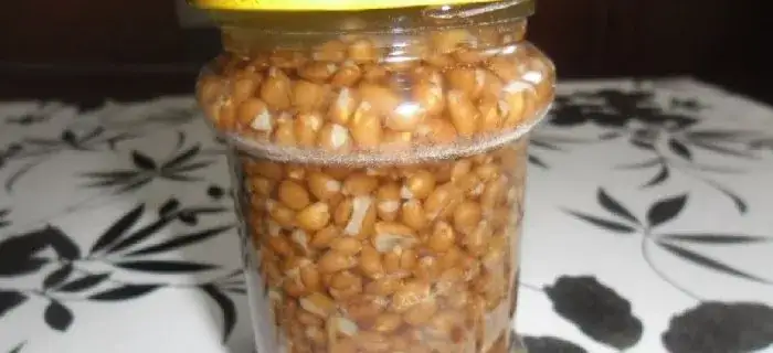 Jak przygotować pszenicę na ryby: skuteczna zanęta na duże karpie