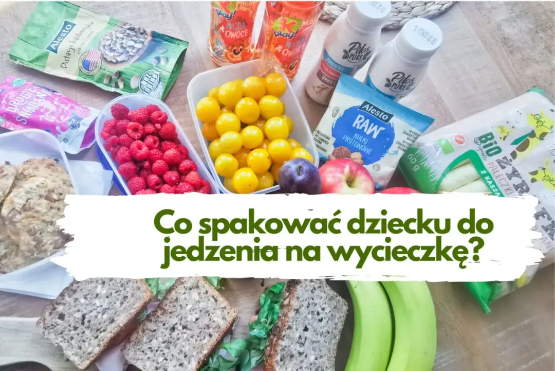 Co do jedzenia na wycieczkę dla dziecka - łatwe i zdrowe pomysły