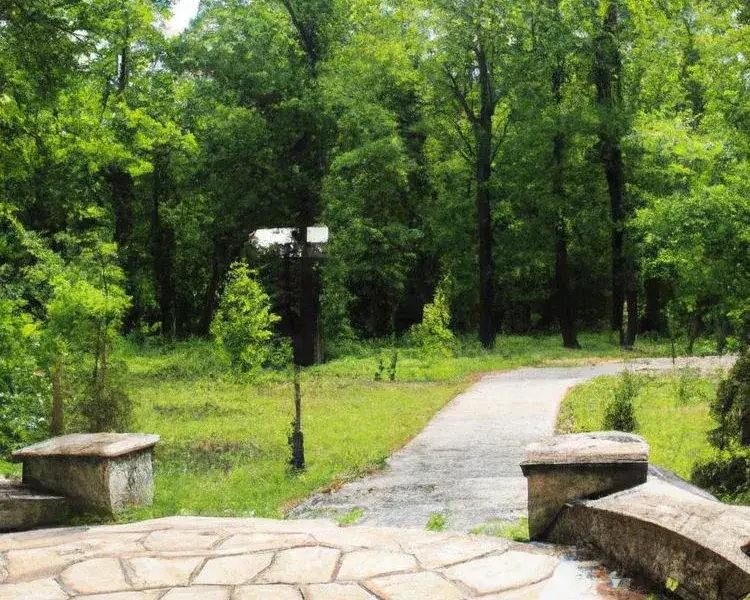 Gdzie na spacer w Śląsku? Najlepsze miejsca na relaks i przygodę