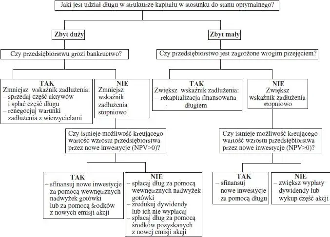 Struktura finansowa firmy: Klucz do stabilności i rozwoju