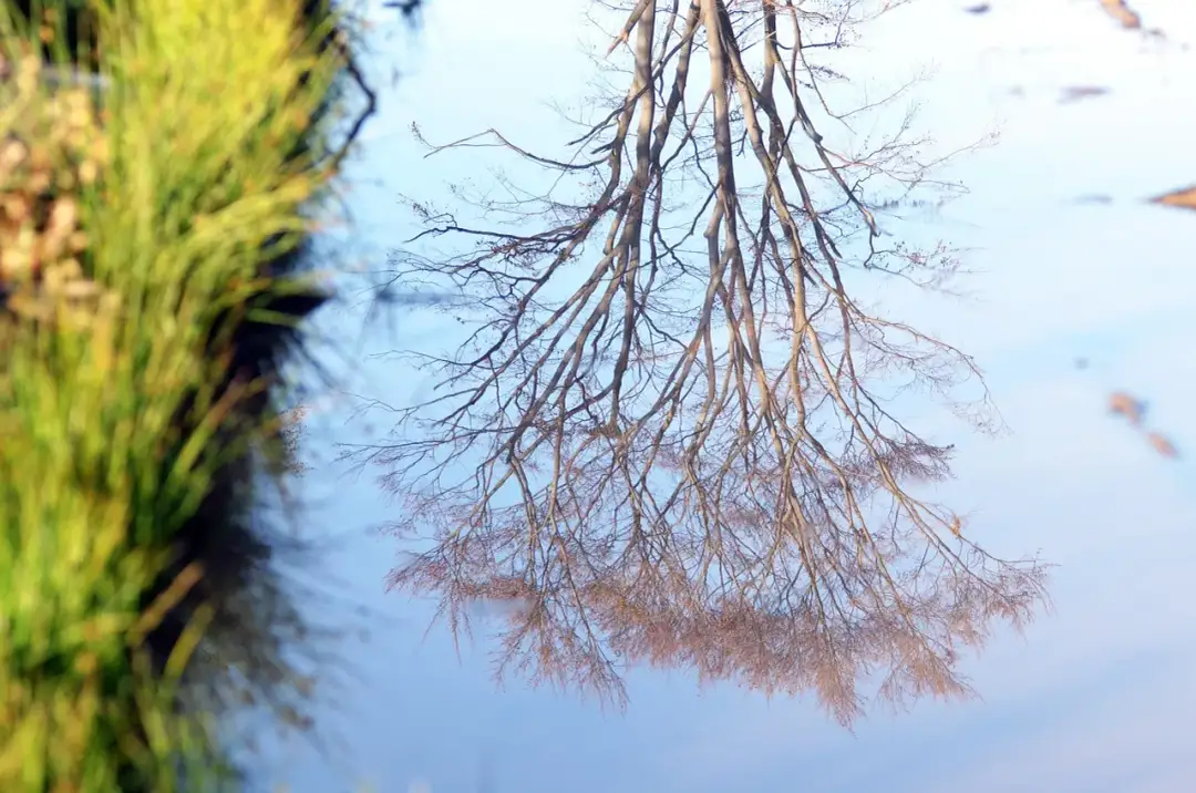 Kiedy Twoja firma potrzebuje pozwolenia zintegrowanego? Przegląd instalacji IPPC