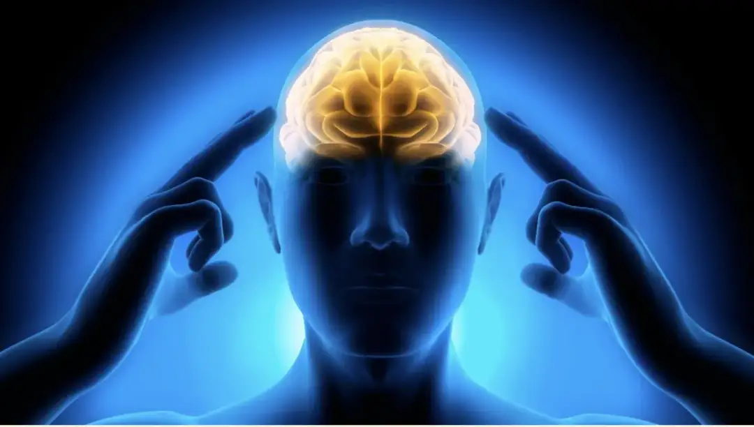 Jak ludzie adaptują się do szybkiej informacji zwrotnej