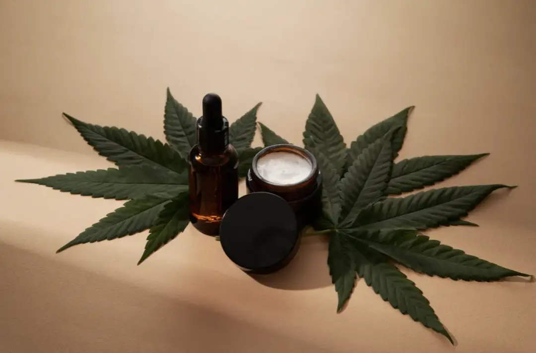 Susz konopny i produkty z suszem konopnym cbd - co warto wiedzieć? Jakie korzyści mają produkty z suszem konopnym?