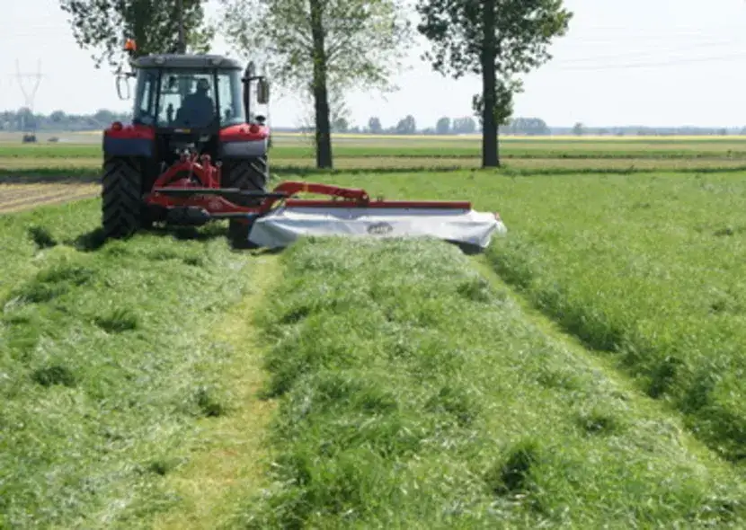 Uprawa traw na gruntach ornych: klucz do efektywnej produkcji paszy