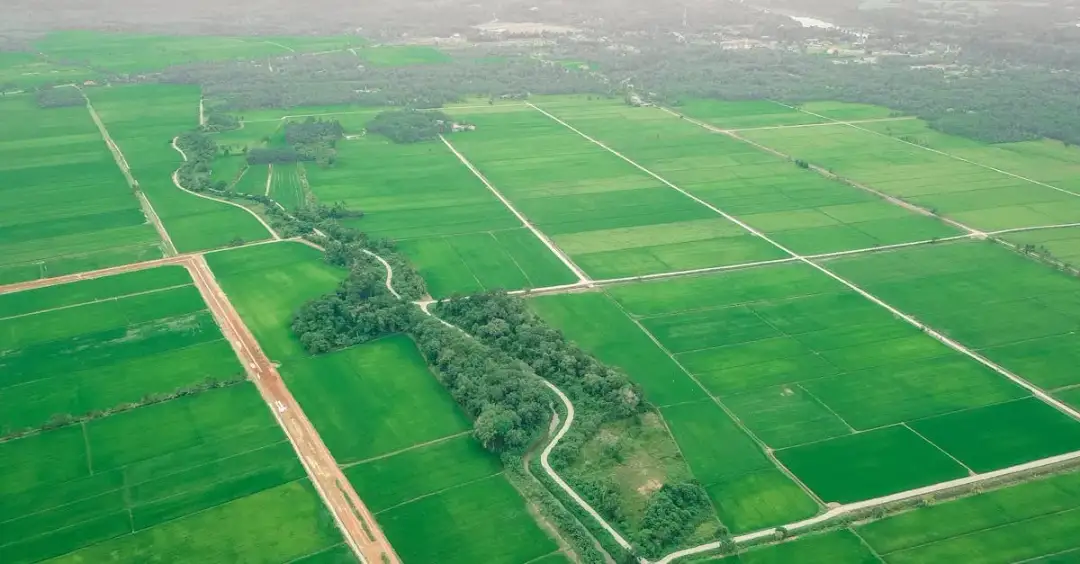 5 filmów przyrodniczych, które zmienią Twoje życie