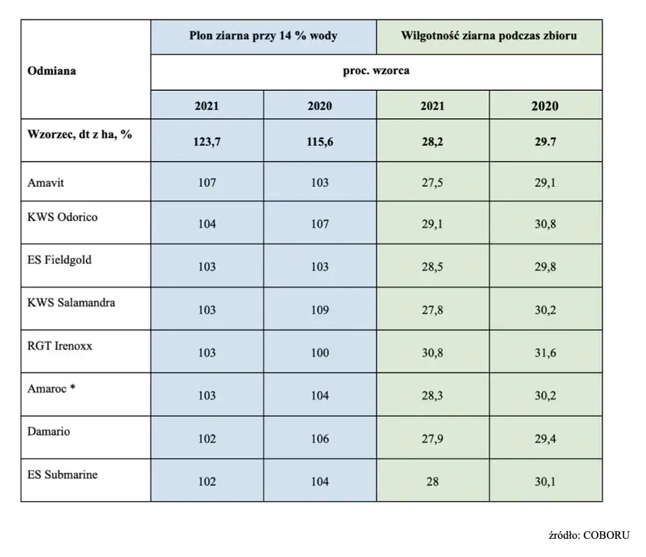 Najbardziej plenne odmiany kukurydzy: Lista sprawdzonych rozwiązań 2025