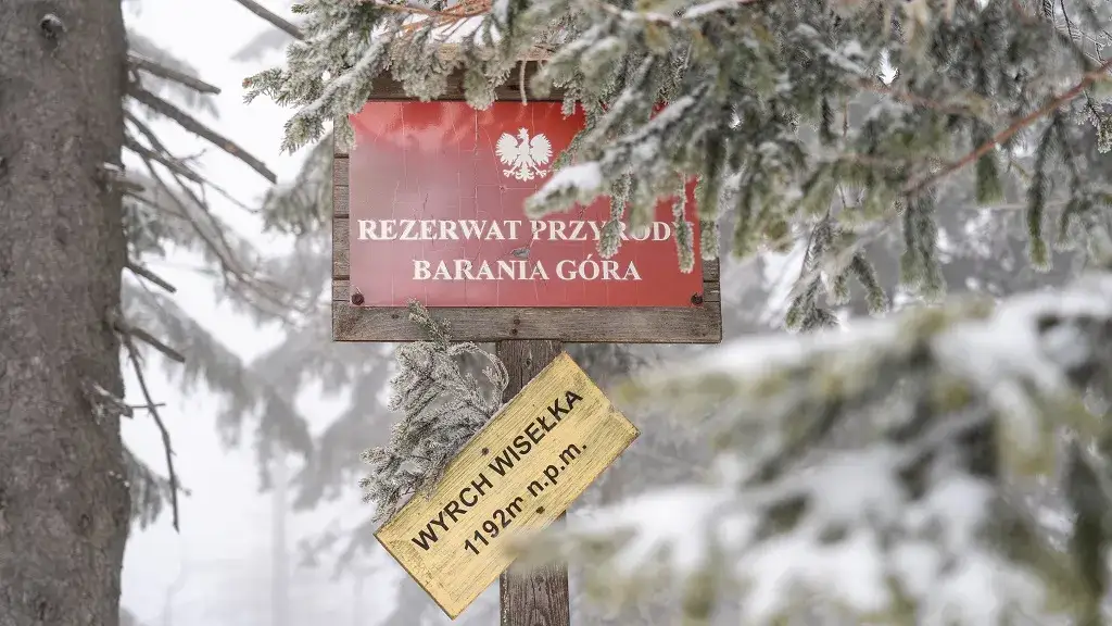 Najlepsze szlaki na Baranią Górę: trudność, czas i atrakcje