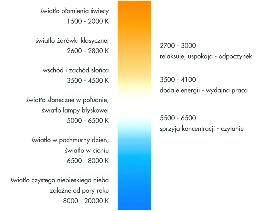 Jaka barwa światła do nauki jest najlepsza - poznaj kluczowe parametry