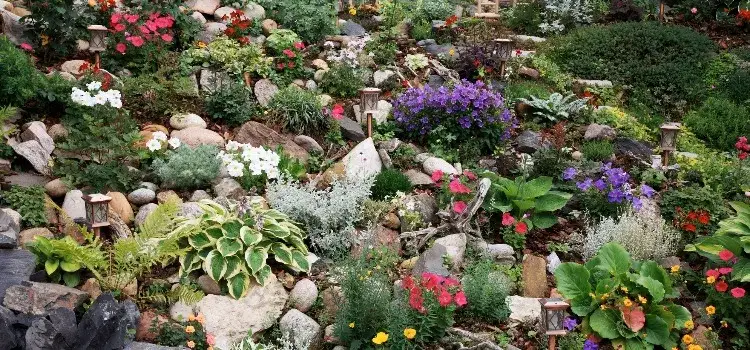 Jak zrobić skalniak na skarpie – praktyczne kroki, które ułatwią ci pracę