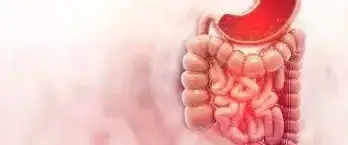 Jak skutecznie wyleczyć grzybicę jelit? Sprawdzone metody leczenia