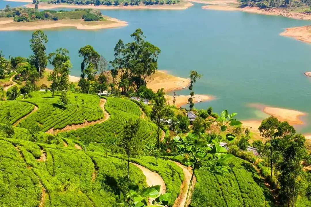 Łza z policzka Indii - poznaj tajemnice Sri Lanki i jej atrakcje