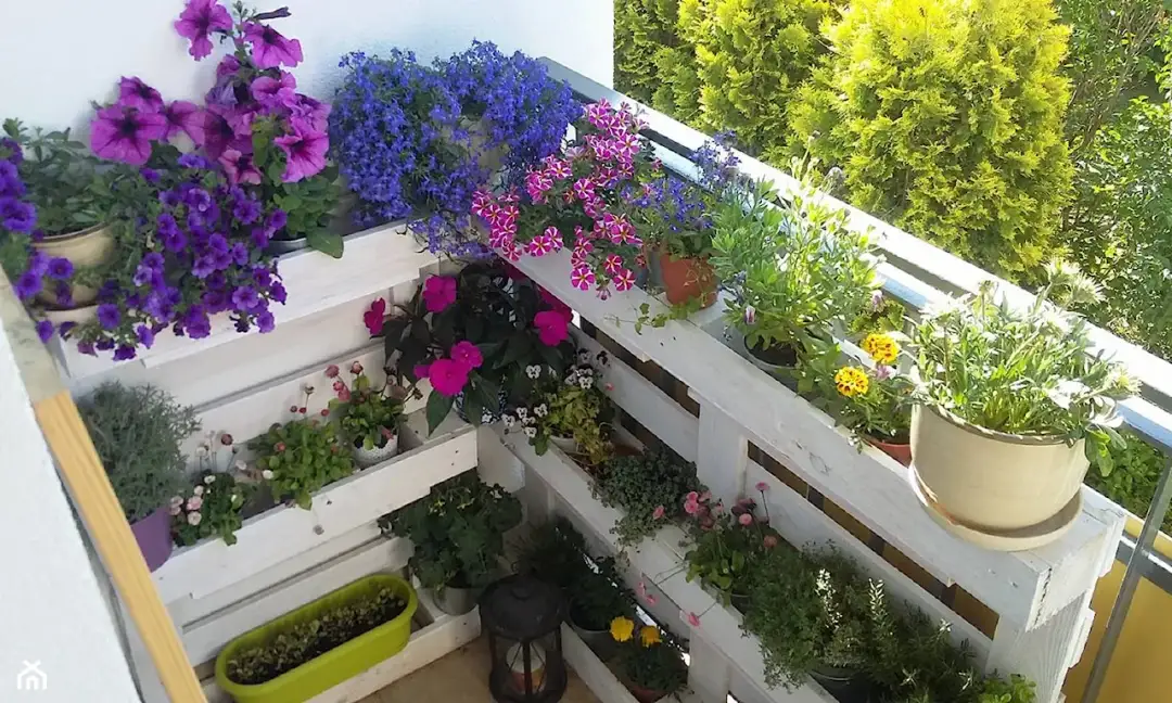 Jakie kwiaty do kwietnika z palet? Oto rośliny, które zachwycą!