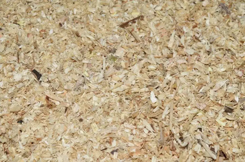 Ile trocin potrzeba na tonę pelletu? Obliczenia i optymalizacja produkcji