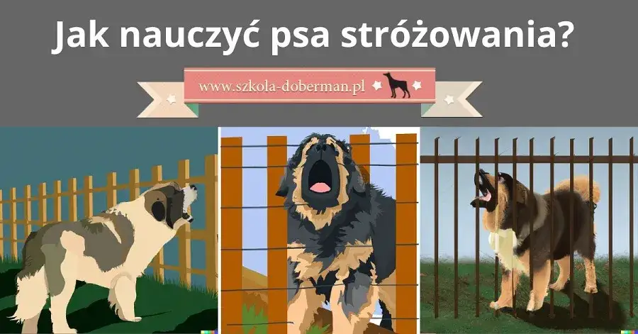 Jak wytresować psa obronnego w domu: kompletny poradnik i praktyczne porady