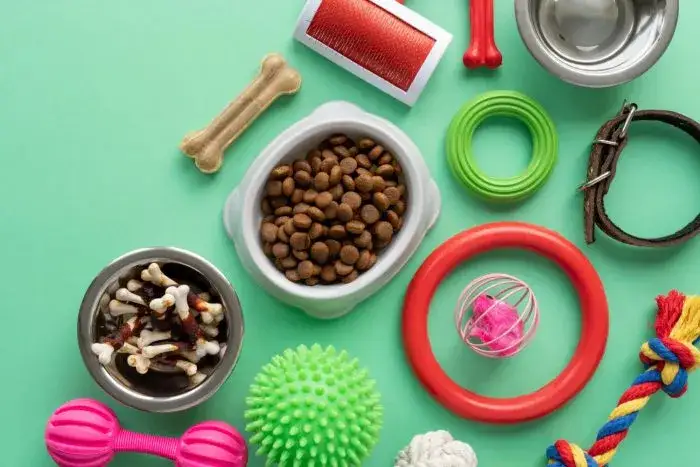Wyprawka dla psa co kupić – lista niezbędnych rzeczy, których nie możesz pominąć