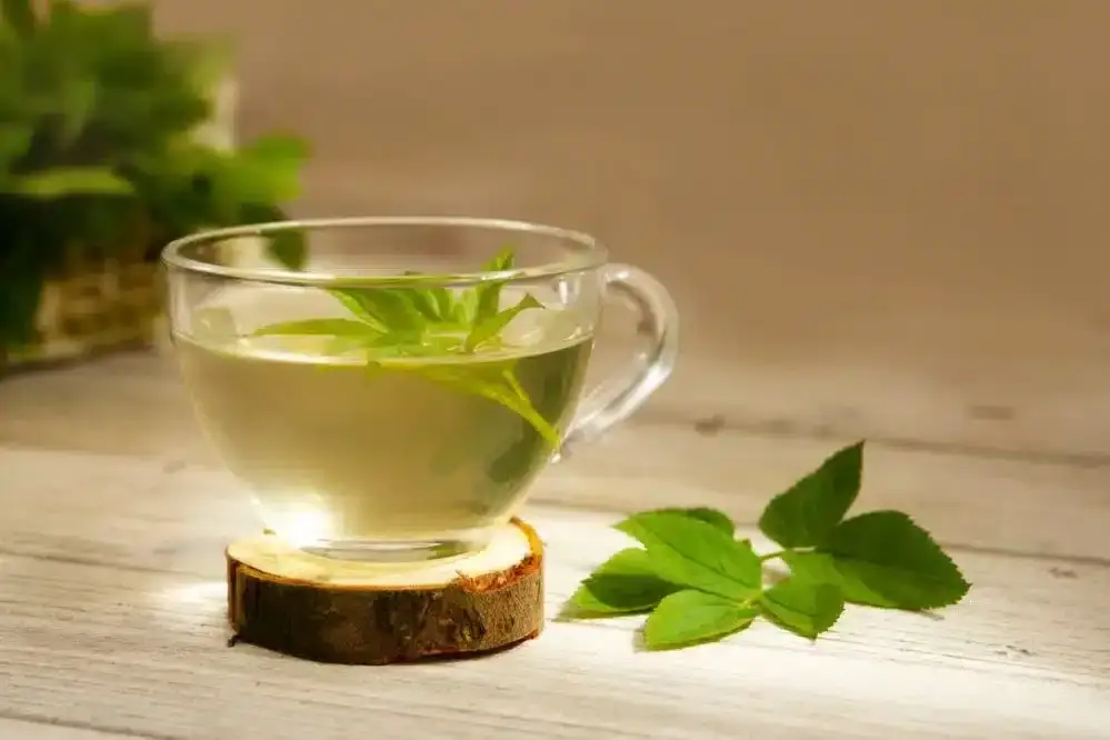 Kiedy pić herbatę na trawienie: poznaj najlepsze pory dla zdrowia żołądka