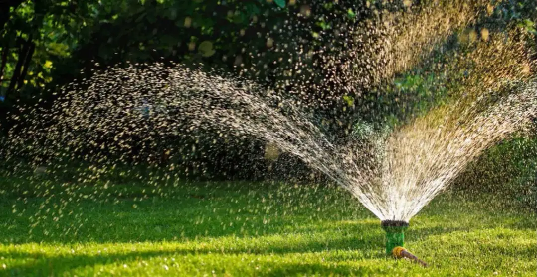 Jaki zraszacz do ogrodu wybrać, aby uniknąć przesuszenia roślin?