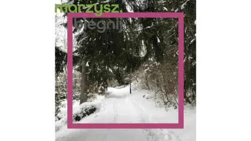 Czy chodzenie odchudza brzuch? Sprawdź, jak skutecznie schudnąć