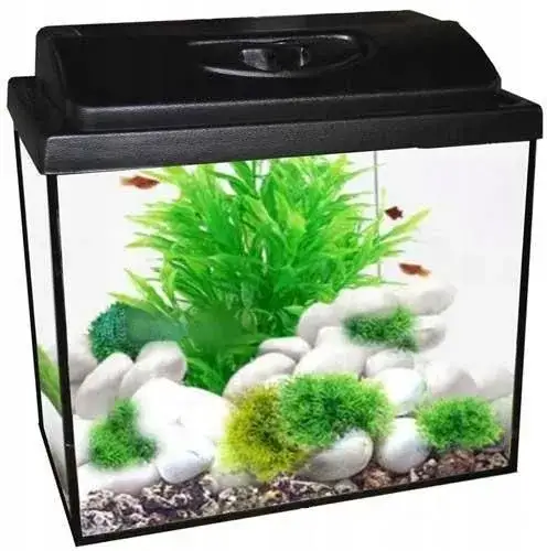 Akwarium 40x25x25: Ile litrów wody pomieści? Sprawdź obliczenia