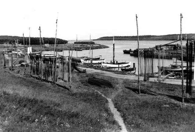 Co warto wiedzieć przed wizytą w porcie Świbno nad Bałtykiem? Rady