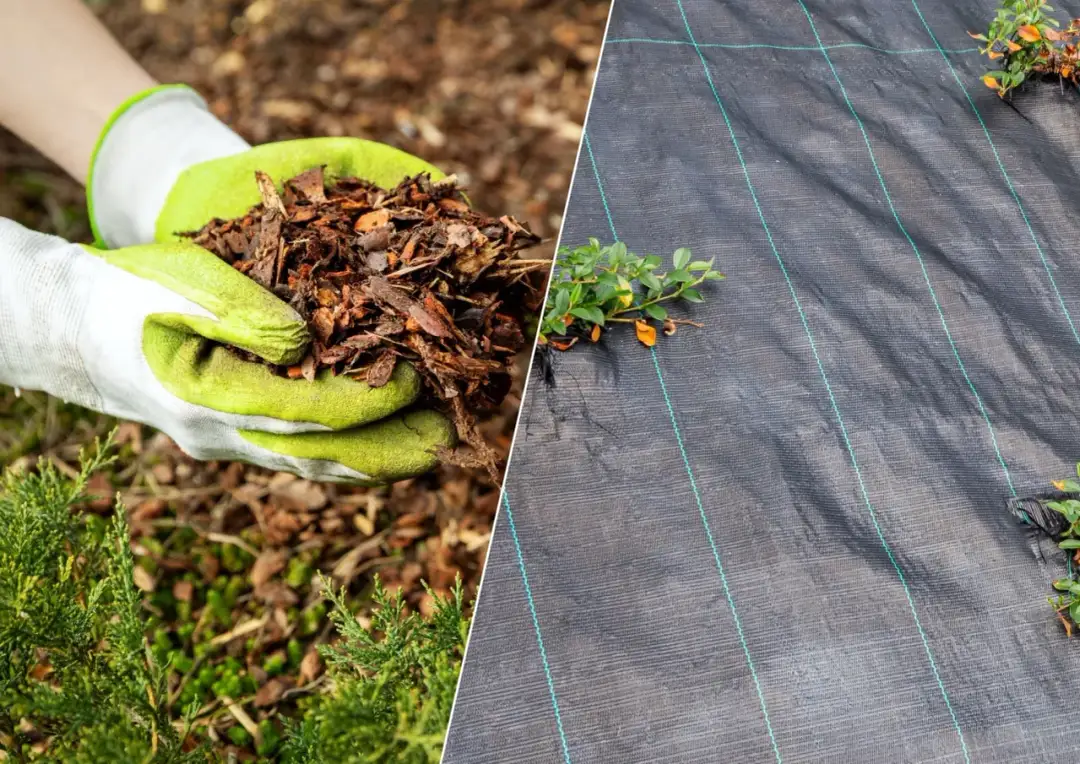 Jak wybrać najlepszą agrowłókninę pod taras, aby uniknąć problemów z chwastami i stabilnością