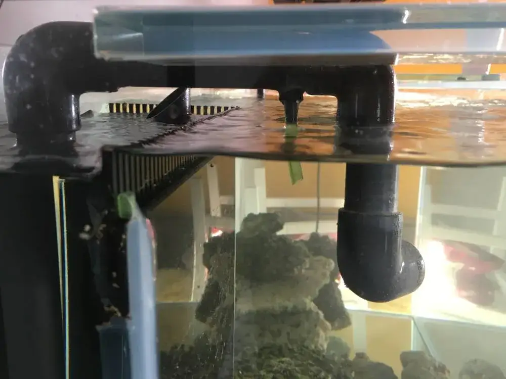 Jak prawidłowo zamontować zaworek zwrotny w akwarium - kompletna instrukcja krok po kroku