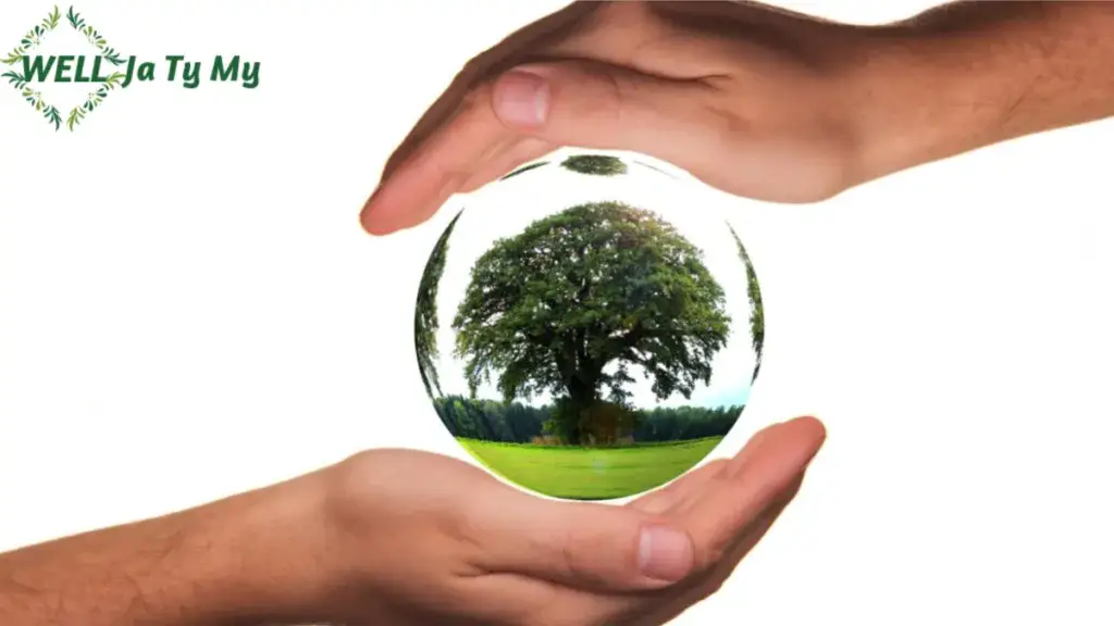 Gdzie wyrzucić chleb, aby nie marnować żywności i dbać o środowisko