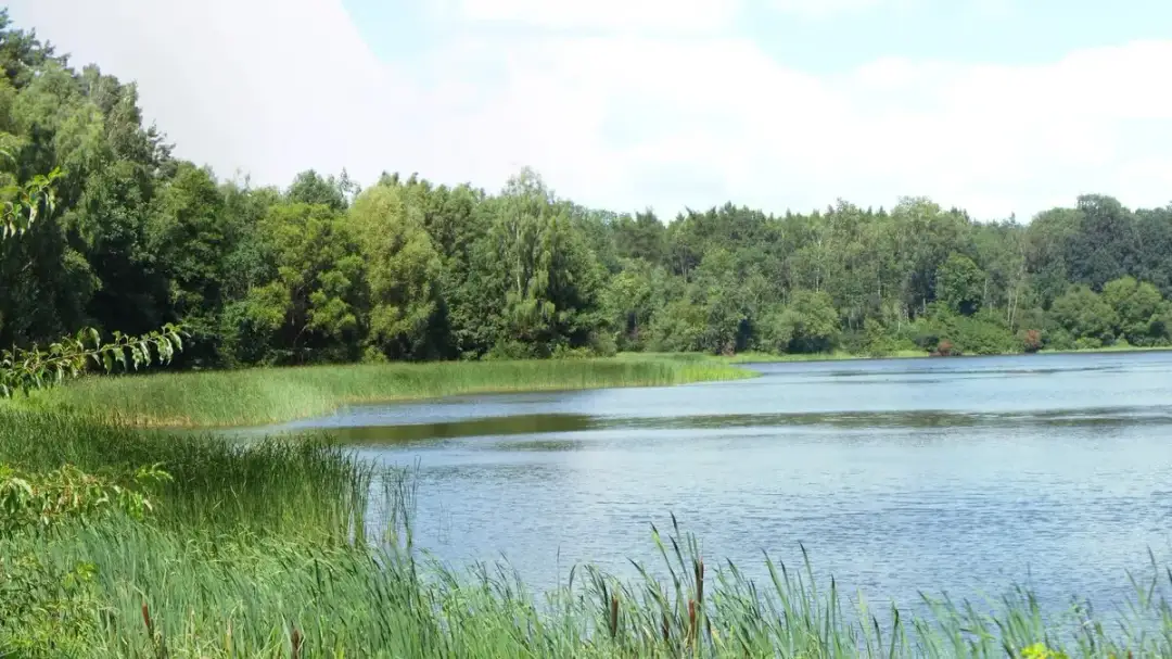 Najlepsze atrakcje nad Jeziorem Kowalskim: kompletny plan wypoczynku