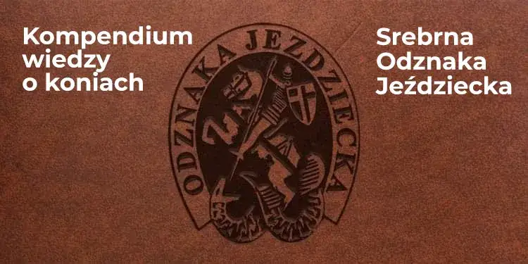 Srebrna odznaka jeździecka - jak zdobyć i uniknąć najczęstszych błędów