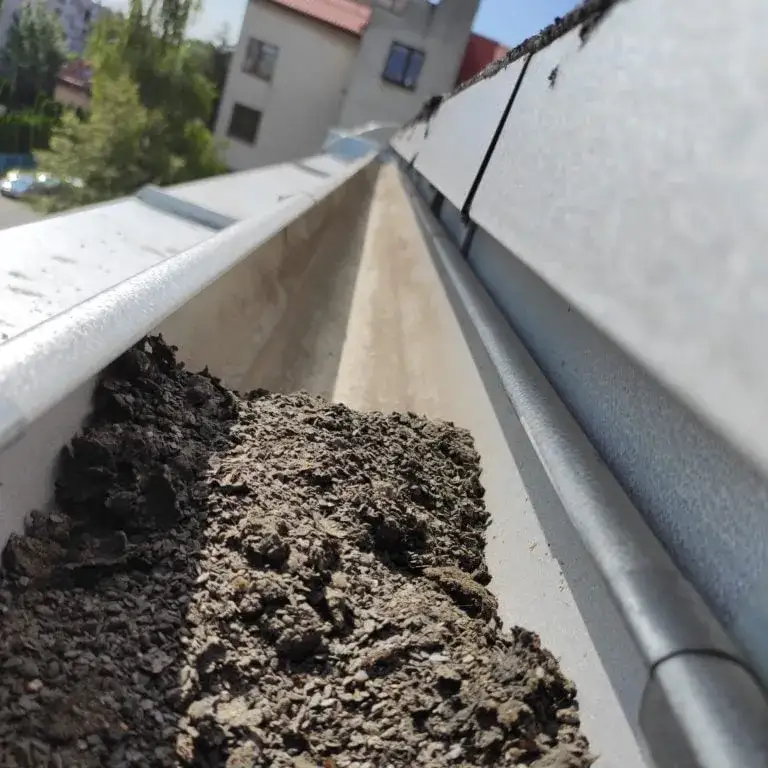 Ile kosztuje czyszczenie rynien? Ceny, które cię zaskoczą